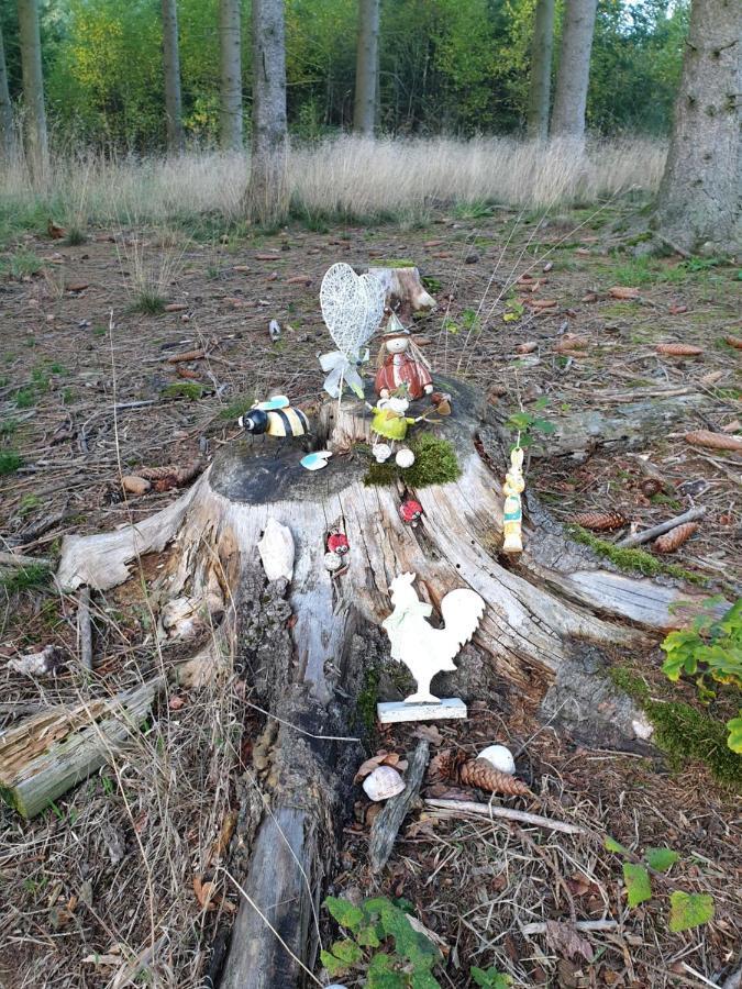 Andinas Ferienwohnung In Ruhiger Lage Direkt Am Wald Wilnsdorf Exterior foto